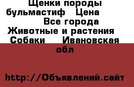 Щенки породы бульмастиф › Цена ­ 25 000 - Все города Животные и растения » Собаки   . Ивановская обл.